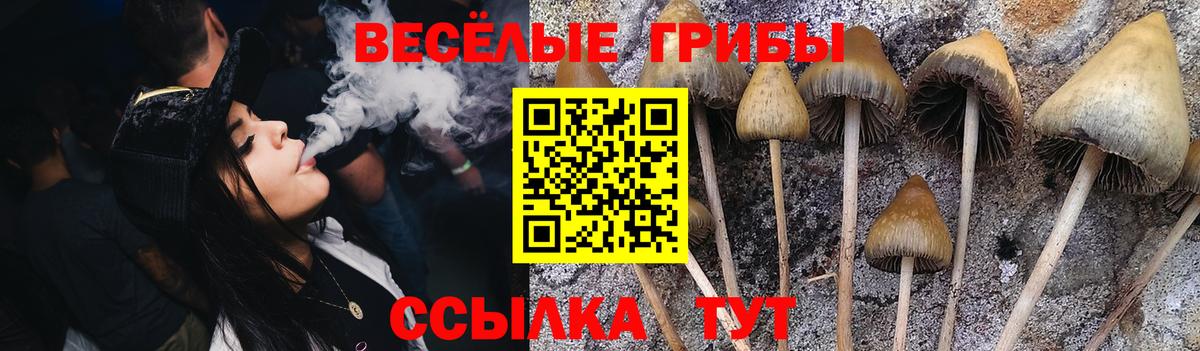 Пугачёв  Псилоцибиновые грибы мухоморы  Вход с VPN 